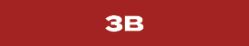 3B