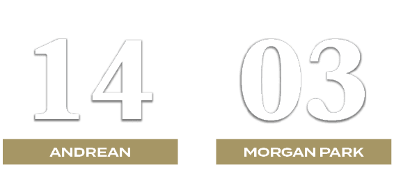 03,14,morgan park,andrean