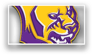 A purple and yellow tiger head logo. AI generated content