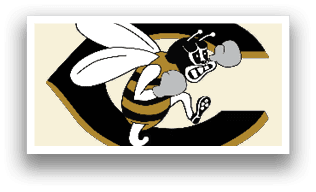 A bee is shown with its legs spread and its head in a fist, with a black background. AI generated content