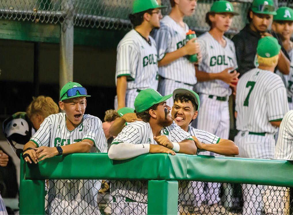 Baseball players sitting on a fence. Description generated by AI