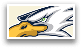 A bald eagle with green eyes and yellow beak. AI generated content