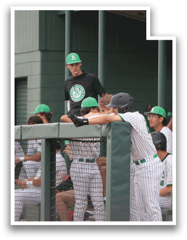 Baseball players in green and white uniforms are sitting on a bench. AI generated content