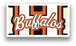 A logo for the University of Buffalo is displayed in orange and white. AI generated content