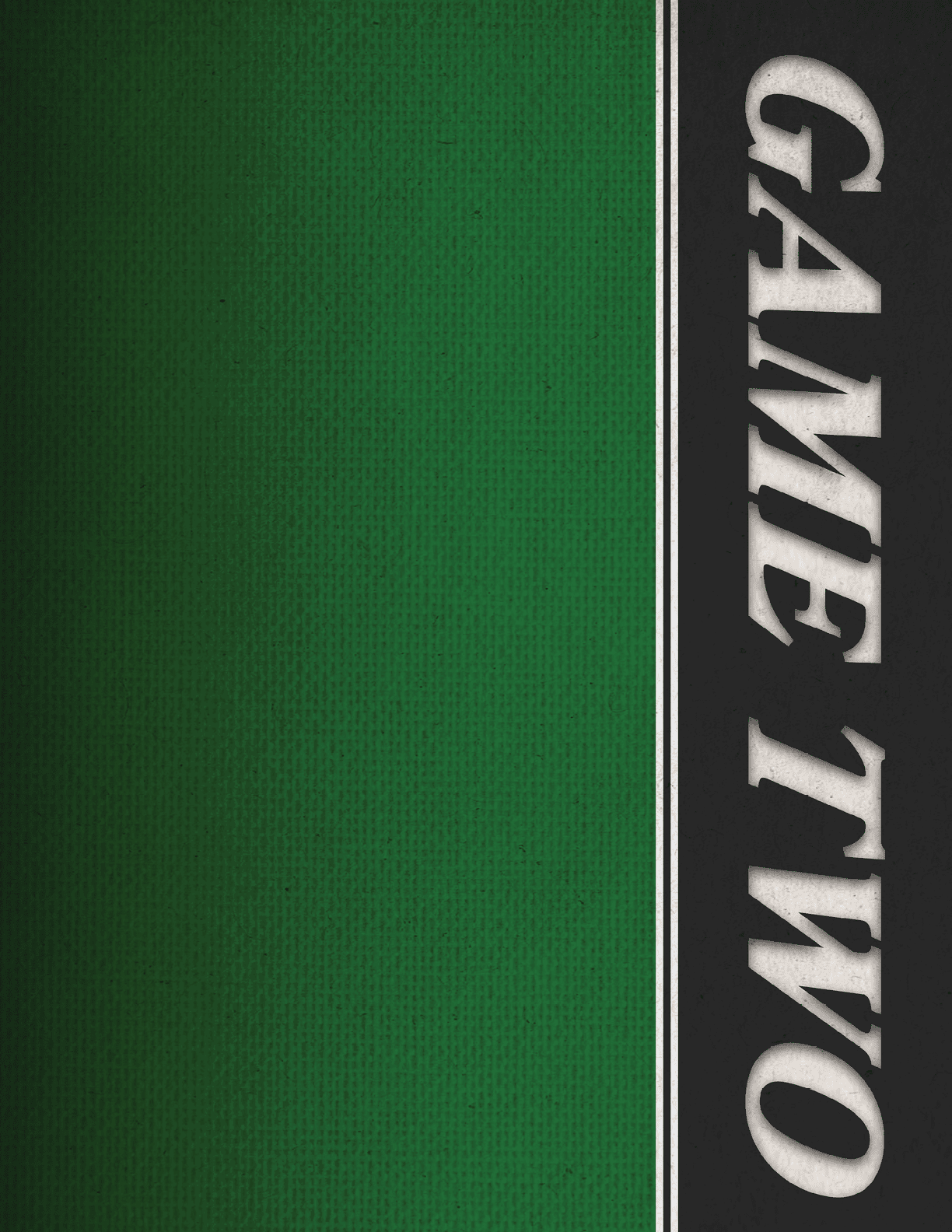 A green and white striped banner with the words “Game Two" written on it. AI generated content