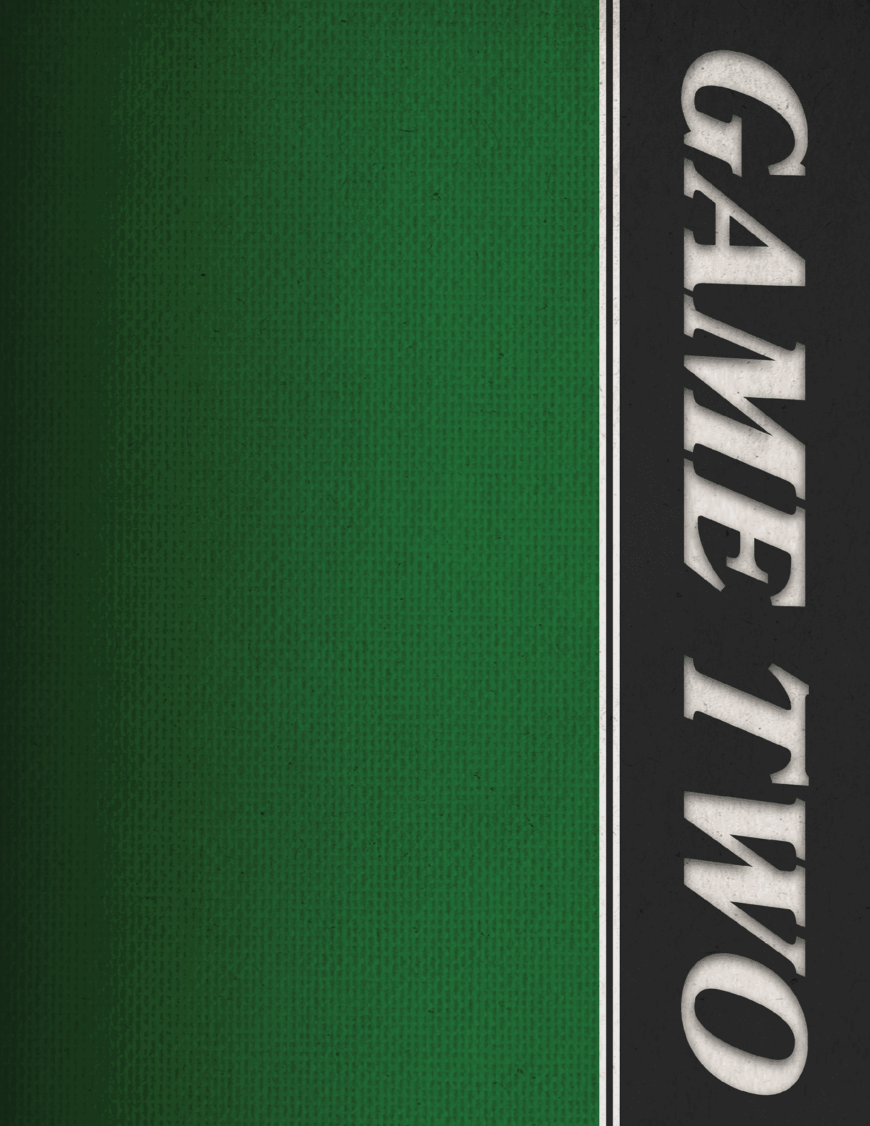 A green and white striped banner with the words “Game Two" written on it. AI generated content
