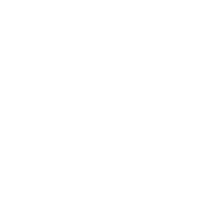 45