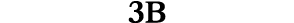 3B