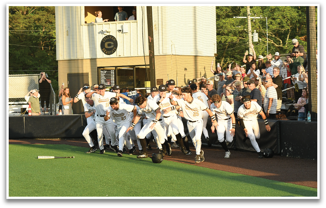 Baseball players celebrating on the field. Description generated by AI