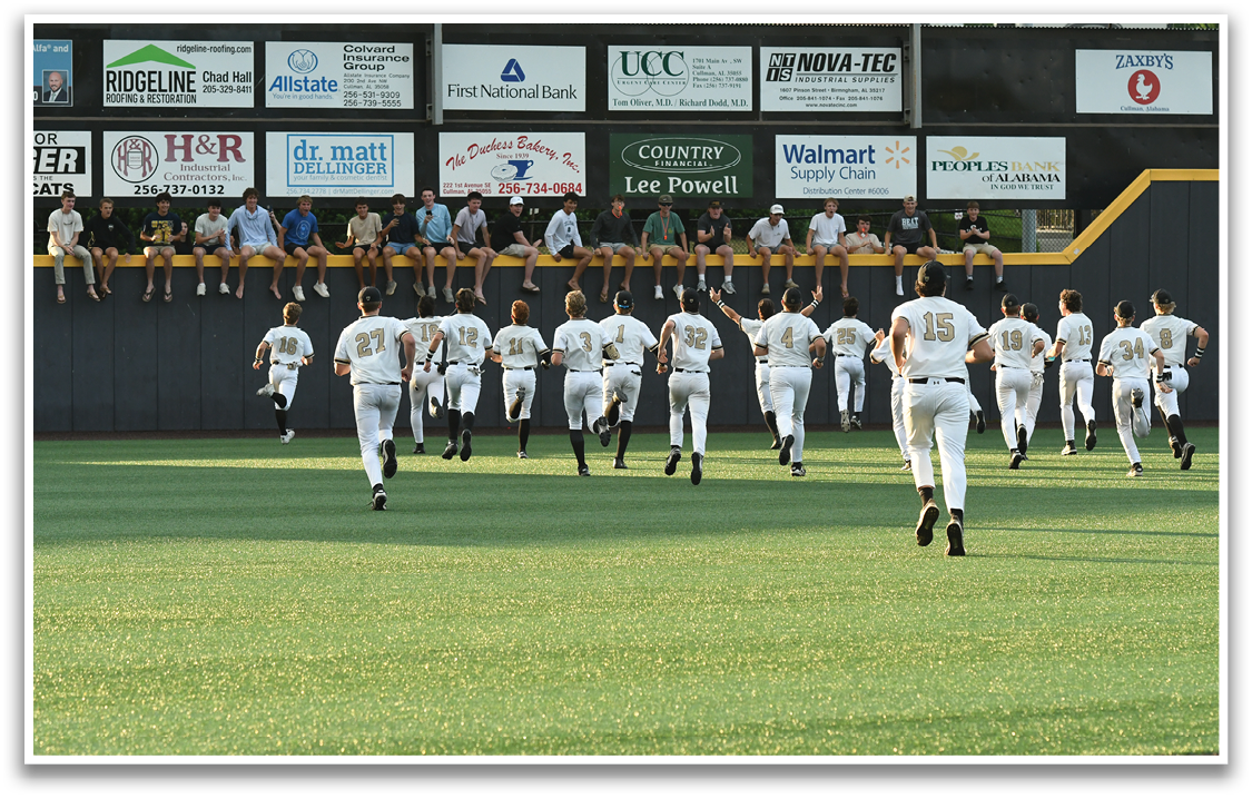 A group of baseball players celebrating on the field. AI generated content
