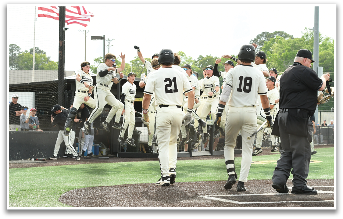 A group of baseball players celebrating on the field. Description generated by AI