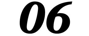 06