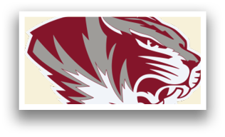 A tiger's head with a white stripe on its face. Description generated by AI