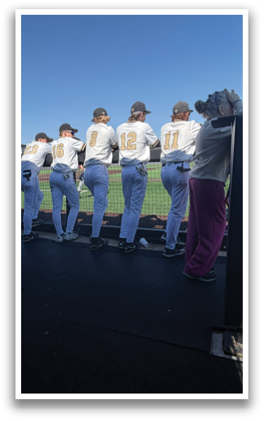 [Alt text was not generated.]