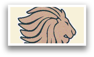 A logo for the New England Patriots football team. AI generated content