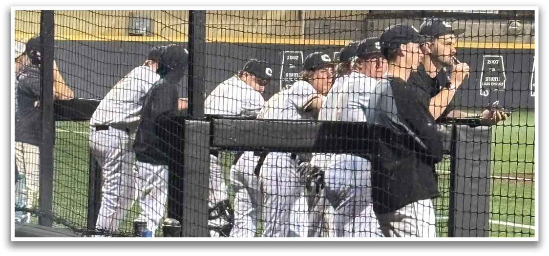 Baseball players in uniforms are standing on a field, some of them wearing black shirts. AI generated content