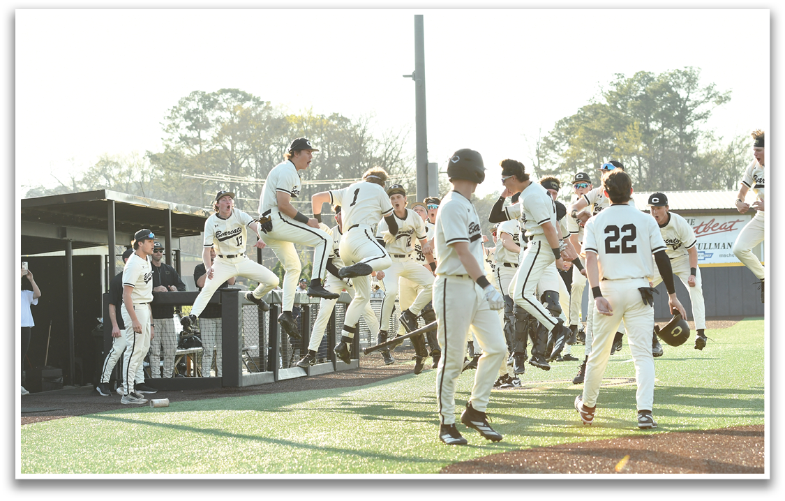 Baseball players celebrating on the field. AI generated content