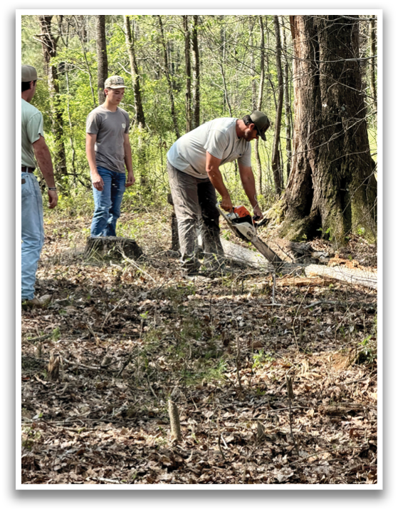 Three men are in a wooded area, one of them is cutting a tree trunk with a chainsaw. AI generated content