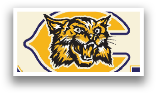 A logo for the Clarksville Wildcats sports team. AI generated content