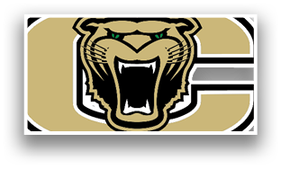 A tiger with its mouth open, the tiger is wearing a gold and black uniform. AI generated content