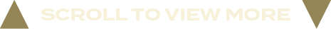 scroll to view mor