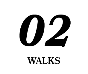 02,WALK