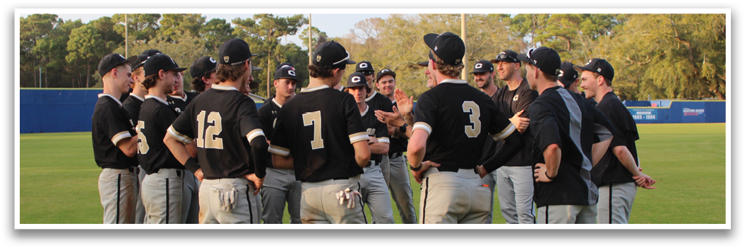 A group of baseball players wearing black and white uniforms are standing on a field. AI generated content