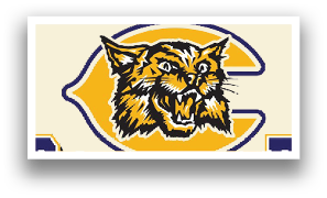 A logo for the Clarksville Wildcats sports team. AI generated content