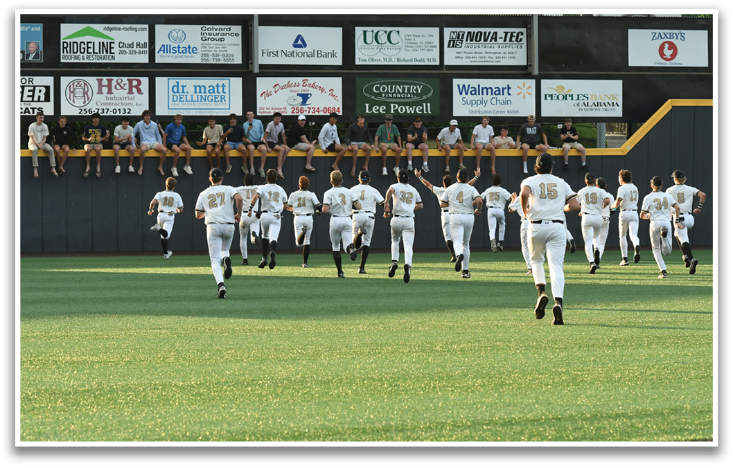 A group of baseball players celebrating on the field. AI generated content