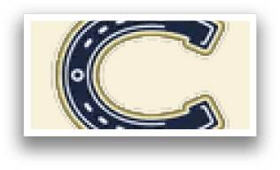 A logo for the Indianapolis Colts. Description generated by AI