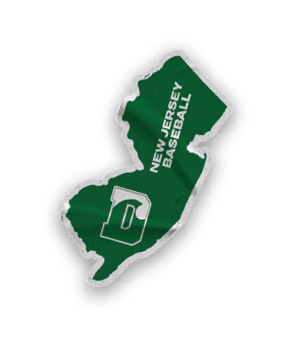 A collection of stickers with the letter D on them. Description generated by AI