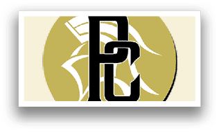 A gold and black logo with the letters D and C. Description generated by AI