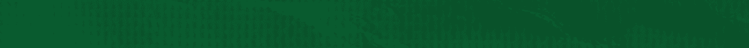 Green paper with wrinkles. Description generated by AI