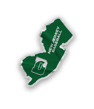 A collection of stickers with the letter D on them. Description generated by AI