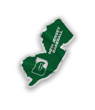 A collection of stickers with the letter D on them. Description generated by AI