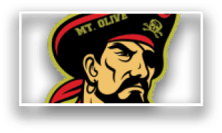A pirate logo for the Marauders. Description generated by AI