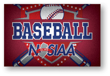 A baseball logo with a baseball bat and ball. Description generated by AI