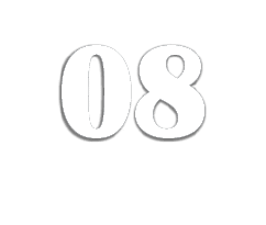 08