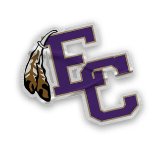 A collection of logos and symbols, including a baseball glove, a baseball, a hand, a football, a soccer ball, and a map of Georgia. AI generated content