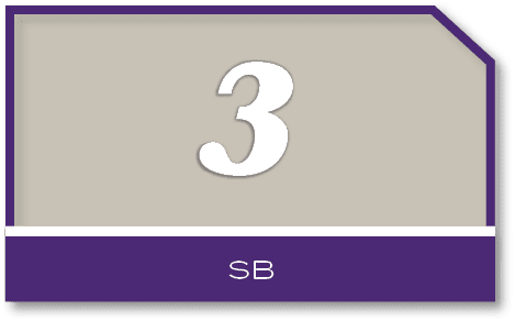 3,S