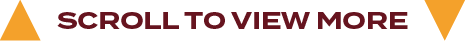 scroll to view mor