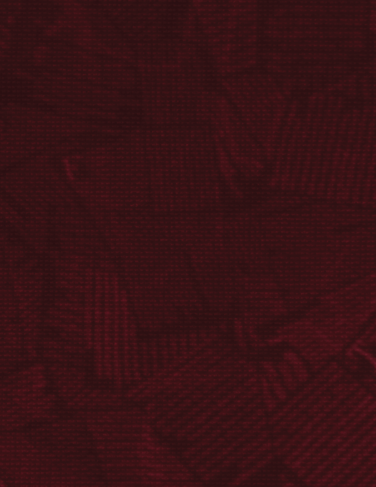 A red patterned carpet with a design of a square. AI generated content