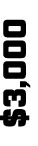 $3,000