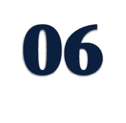 06