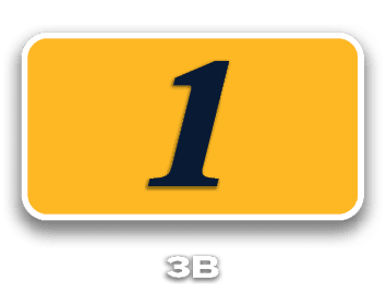 1,3B