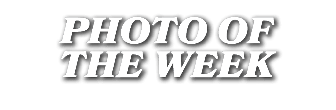 PHOTO OF THE WEEK