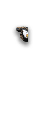 Rectangle