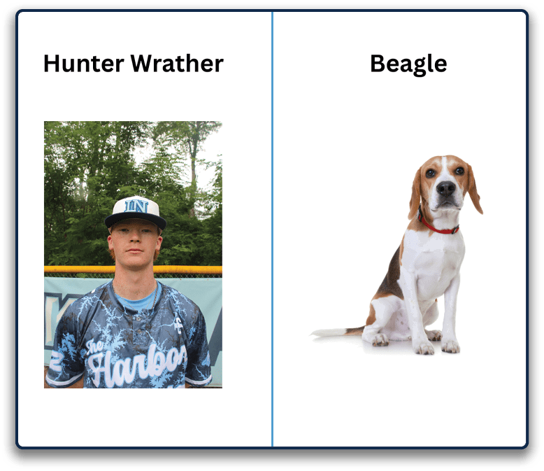 Rectangle