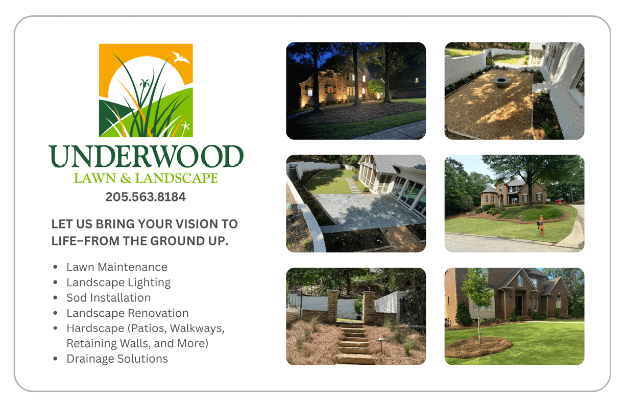 A brochure for a landscaping company shows various outdoor scenes, including a man and woman in a backyard, a house with a deck, and a backyard with a pool. The brochure also includes a phone number for the company. AI generated content