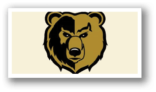 A black and gold bear head with a black nose and a black eye. AI generated content